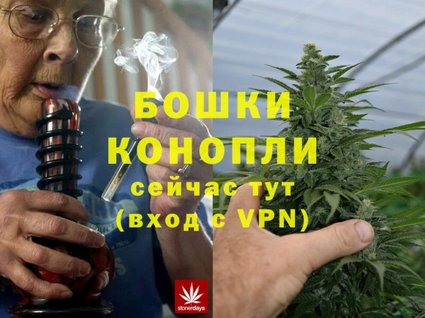 бошки Богданович