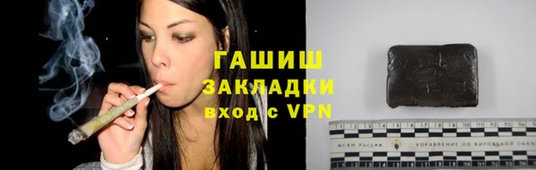 мдпв Богородицк
