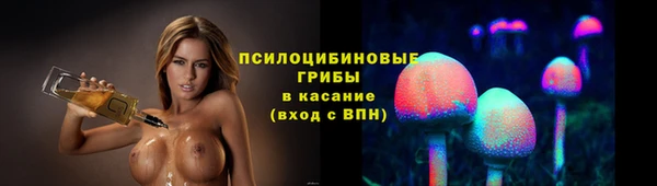тгк Белокуриха