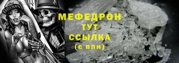 мдпв Богородицк