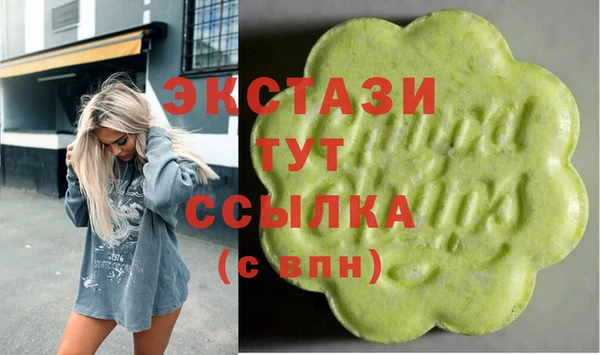 мдпв Богородицк